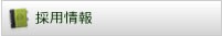 �̗p���