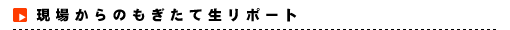 現場からのもぎたて生リポート
